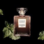 Chanel-Coco-Mademoiselle-Intense10