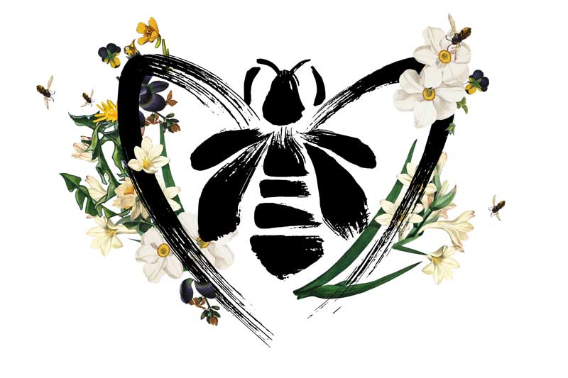 Gierlain World Bee Day