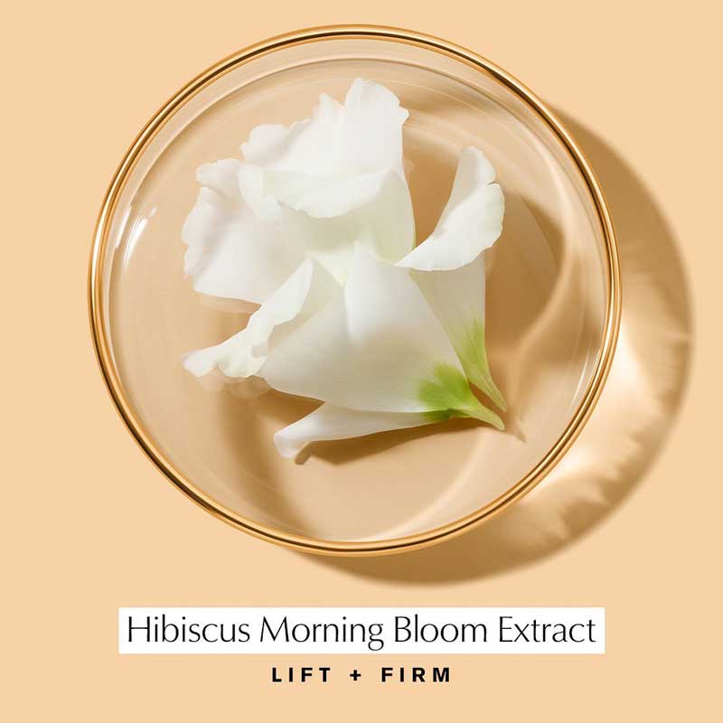 Hibiscus Extract Estée Lauder