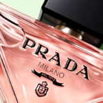 Prada-Paradoxe-6